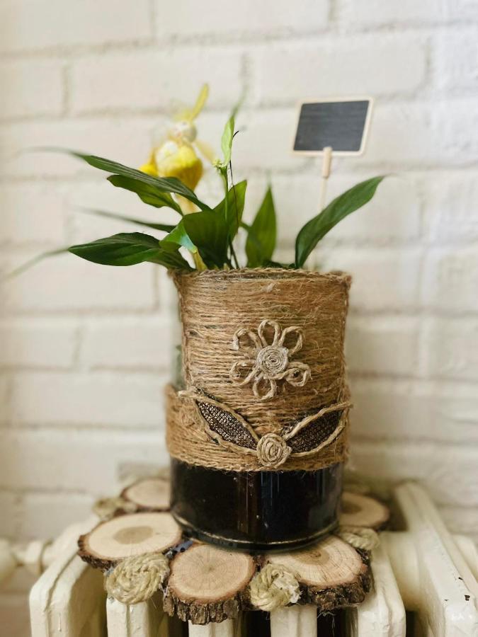 Skopje Cozy Apartment Ngoại thất bức ảnh